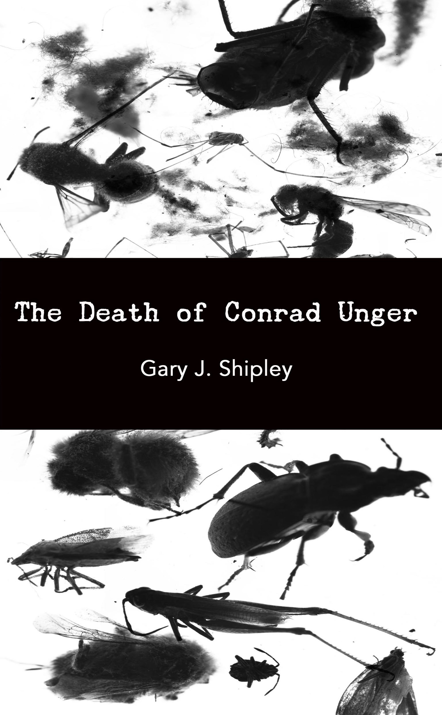 The Death of Conrad Unger: Some Conjectures Regarding Parasitosis and Associated Suicide Behavior (punctum books, 2012)