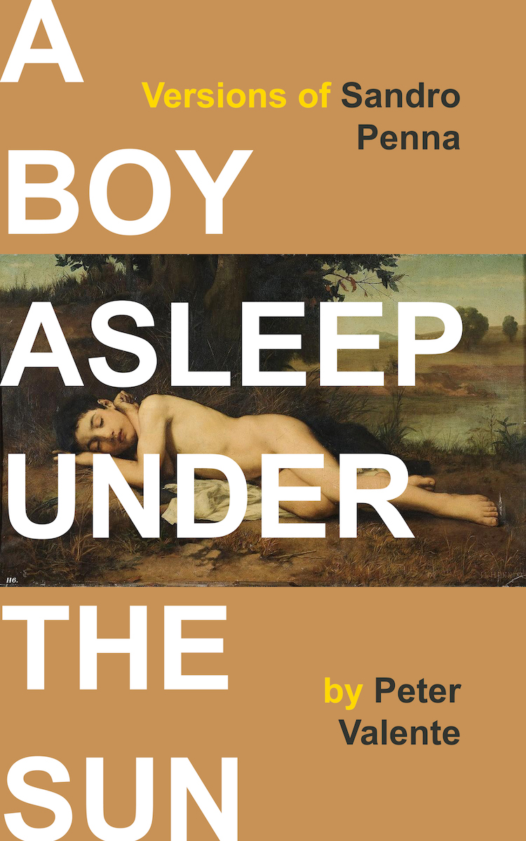 A Boy Asleep under the Sun: Versions of Sandro Penna (punctum books, 2014)