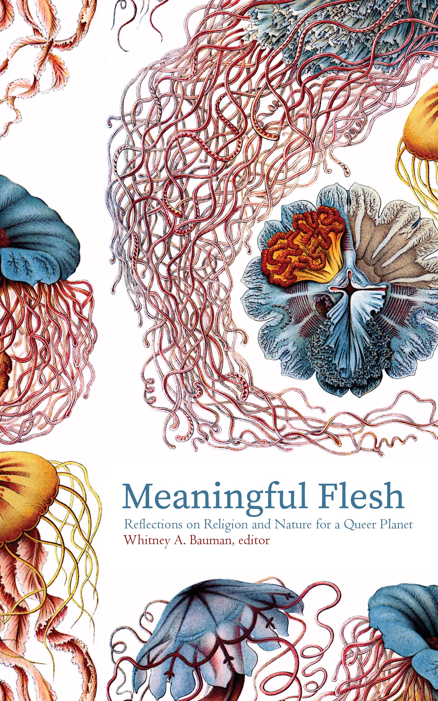 Meaningful Flesh: Reflections on Religion and Nature for a Queer Planet (punctum books, 2018)