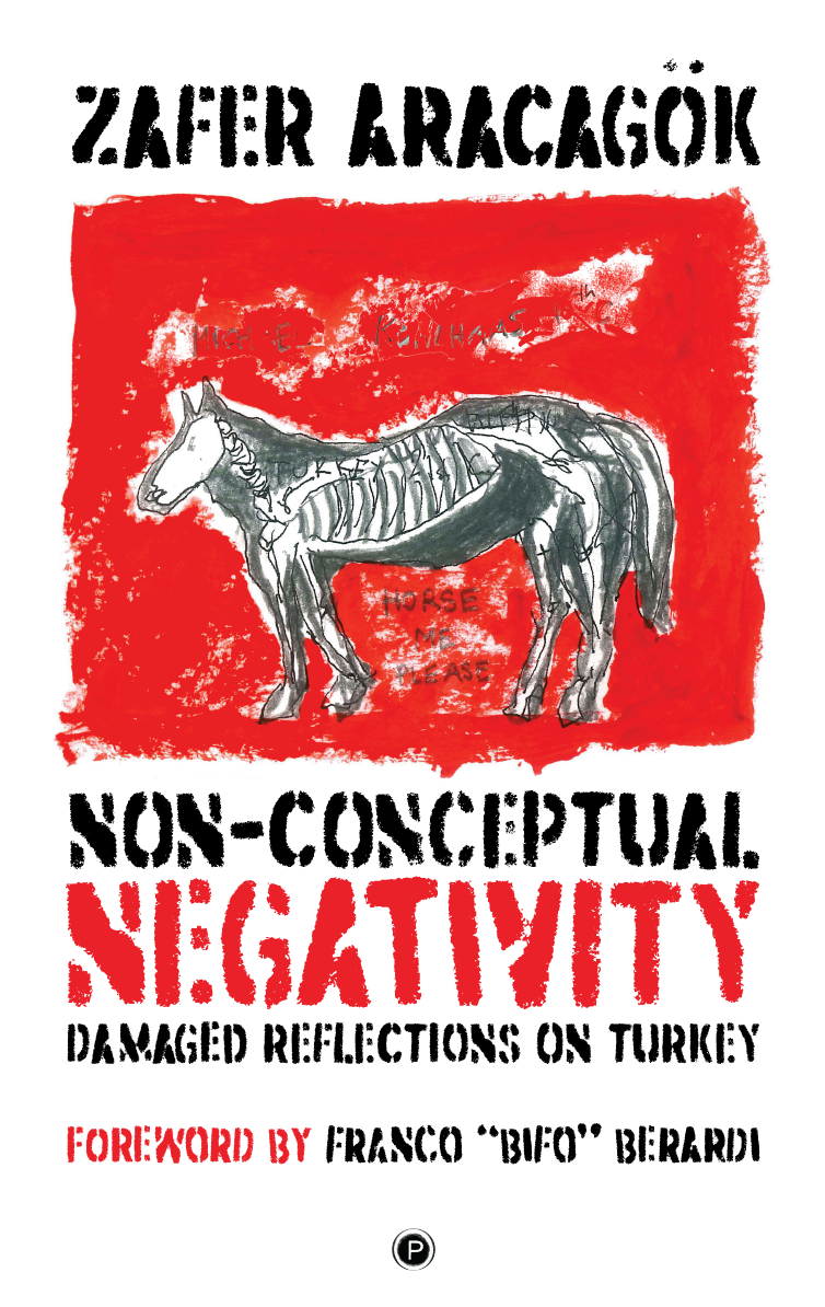 Non-Conceptual Negativity: Damaged Reflections on Turkey (punctum books, 2019)