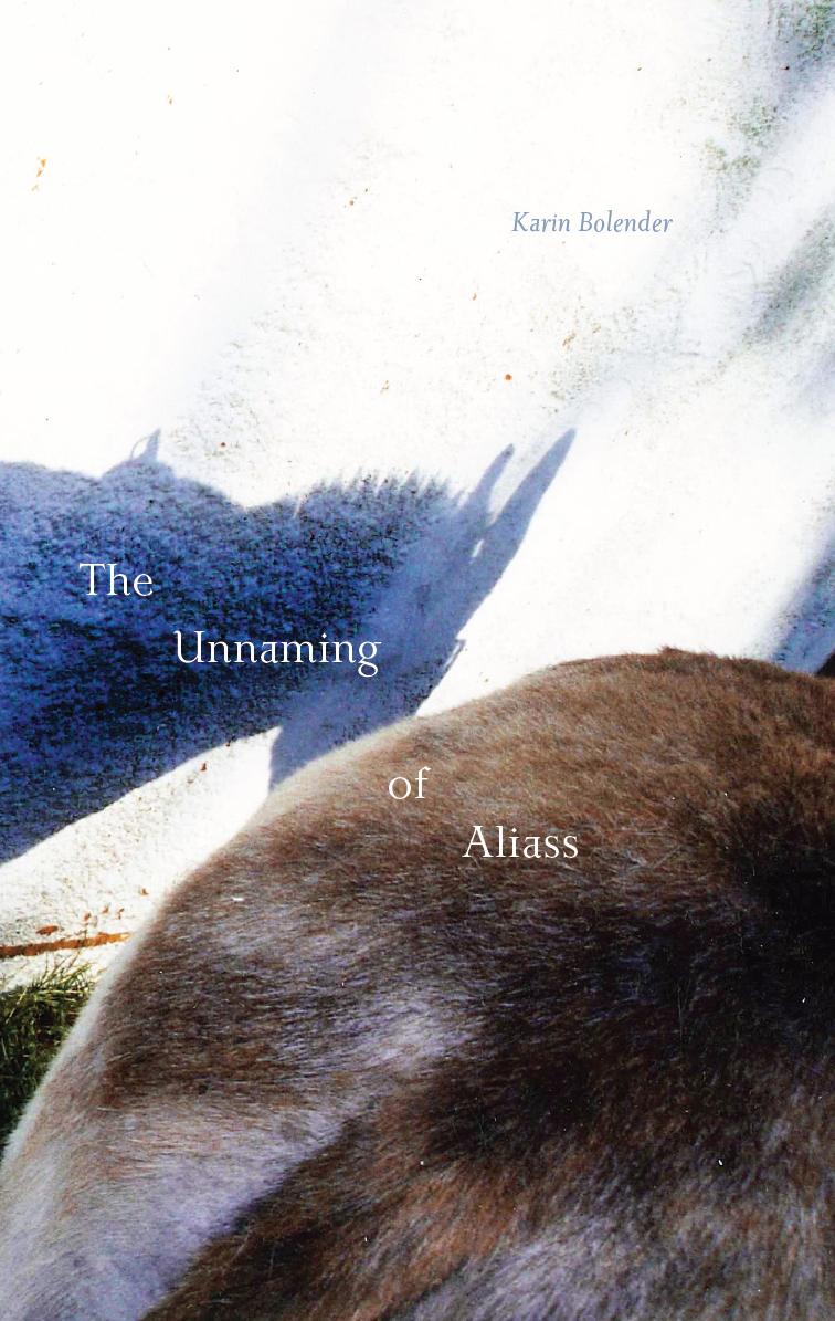 cover for The Unnaming of Aliass